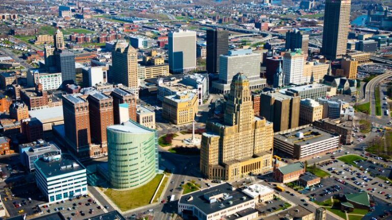 Buffalo